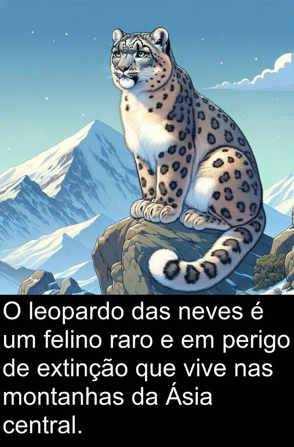 raro: O leopardo das neves é um felino raro e em perigo de extinção que vive nas montanhas da Ásia central.