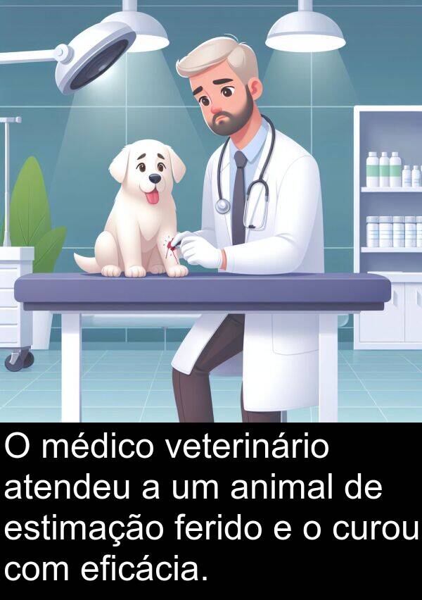 veterinário: O médico veterinário atendeu a um animal de estimação ferido e o curou com eficácia.