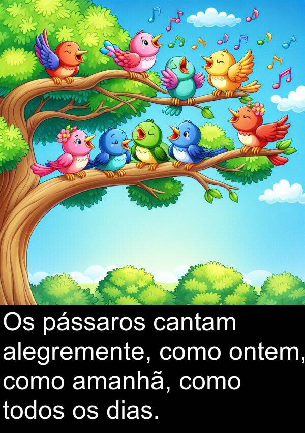 pássaros: Os pássaros cantam alegremente, como ontem, como amanhã, como todos os dias.