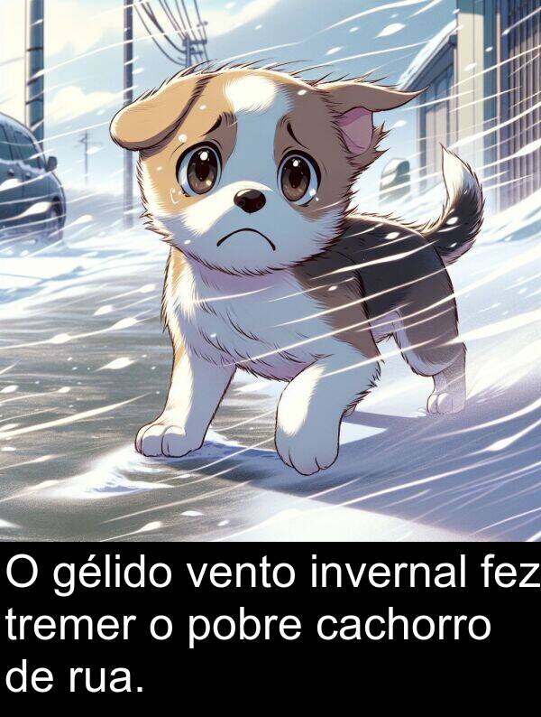 vento: O gélido vento invernal fez tremer o pobre cachorro de rua.