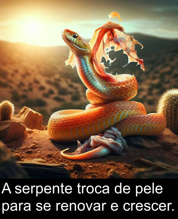 troca: A serpente troca de pele para se renovar e crescer.