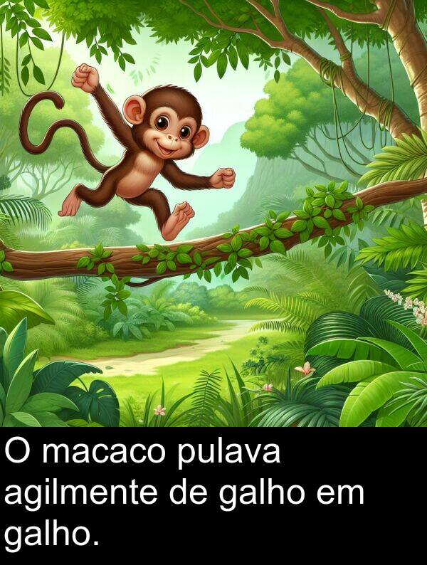 galho: O macaco pulava agilmente de galho em galho.