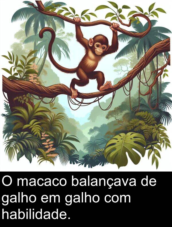 galho: O macaco balançava de galho em galho com habilidade.