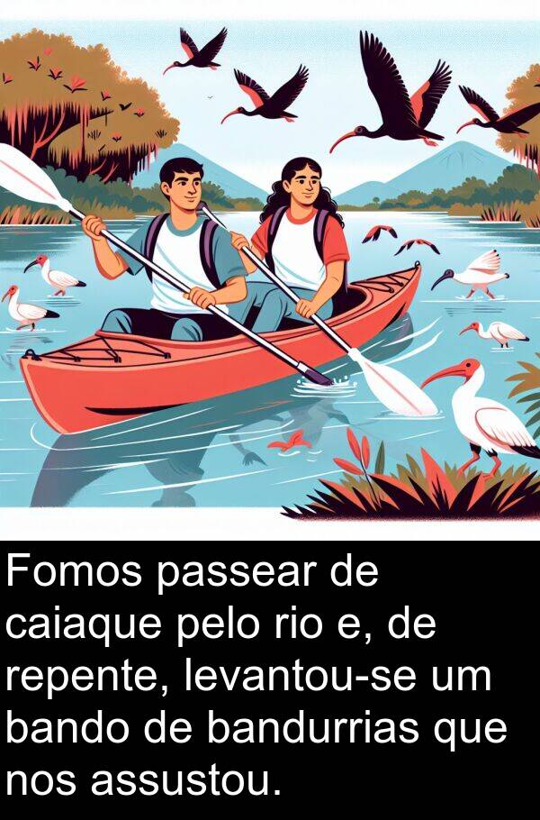 passear: Fomos passear de caiaque pelo rio e, de repente, levantou-se um bando de bandurrias que nos assustou.