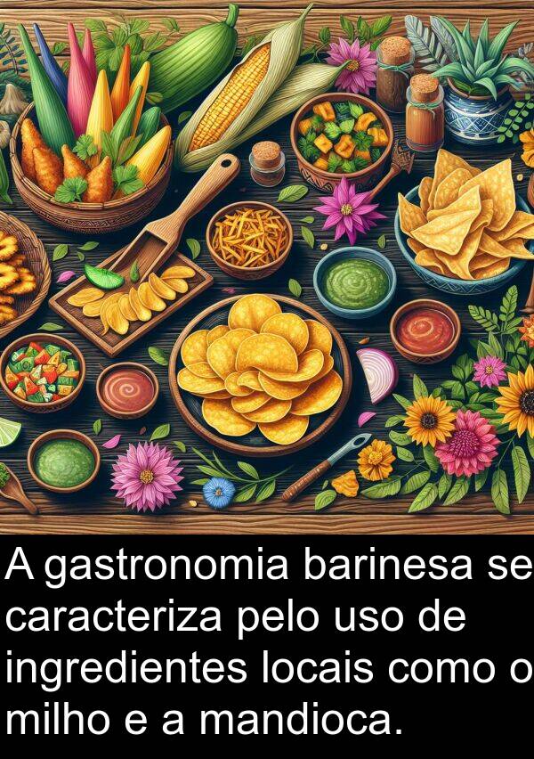 gastronomia: A gastronomia barinesa se caracteriza pelo uso de ingredientes locais como o milho e a mandioca.