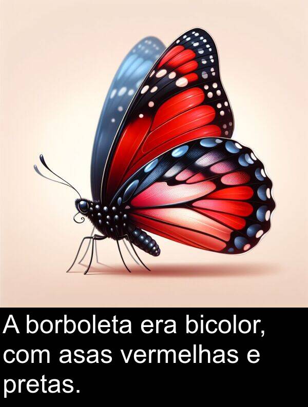 pretas: A borboleta era bicolor, com asas vermelhas e pretas.