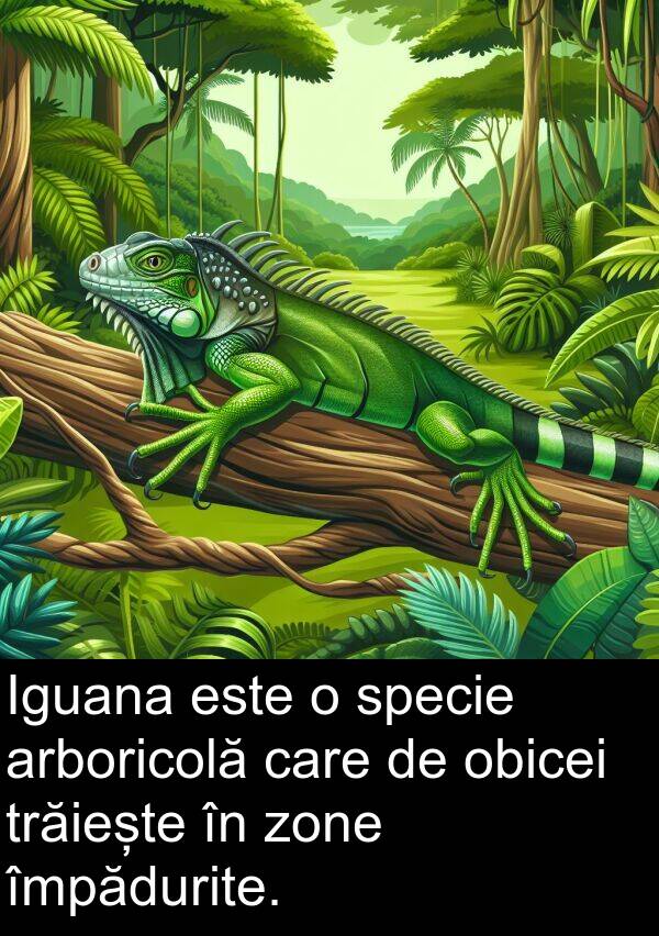 obicei: Iguana este o specie arboricolă care de obicei trăiește în zone împădurite.