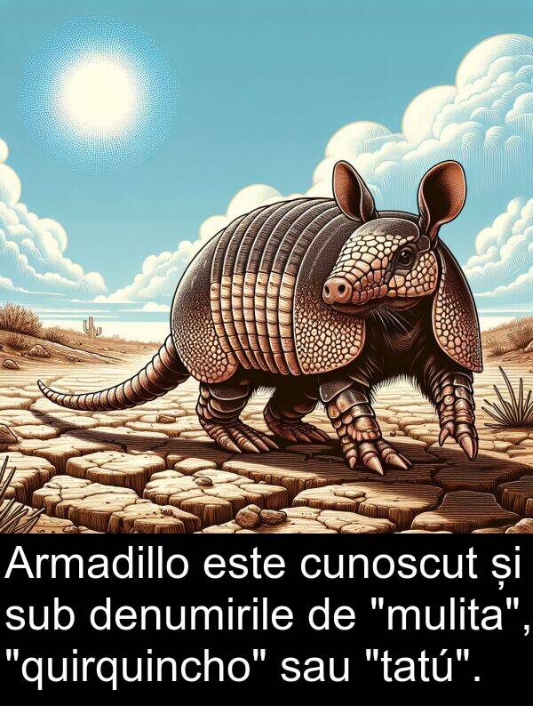 denumirile: Armadillo este cunoscut și sub denumirile de "mulita", "quirquincho" sau "tatú".