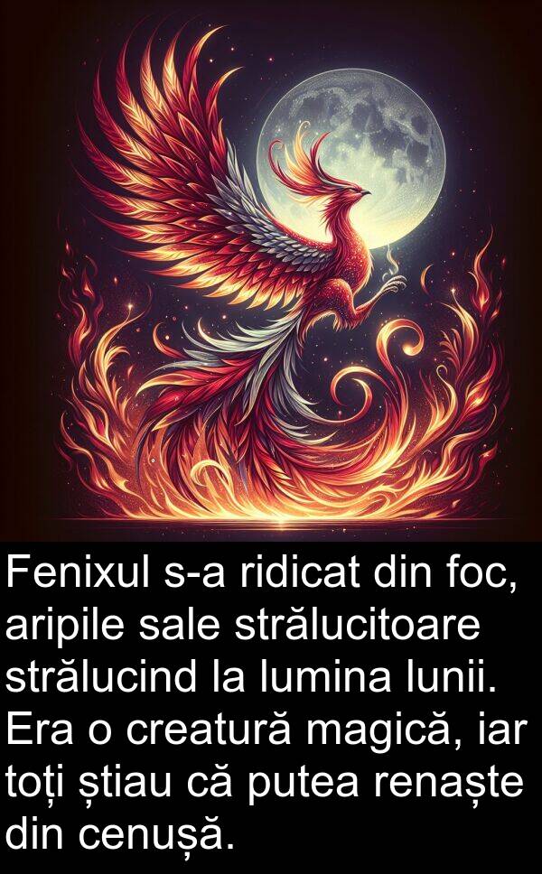 iar: Fenixul s-a ridicat din foc, aripile sale strălucitoare strălucind la lumina lunii. Era o creatură magică, iar toți știau că putea renaște din cenușă.