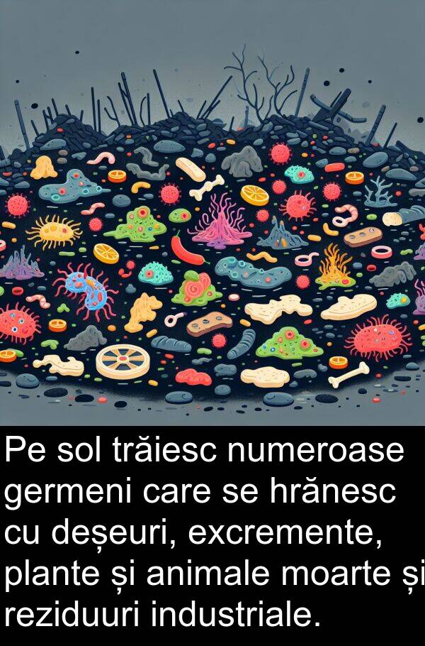 hrănesc: Pe sol trăiesc numeroase germeni care se hrănesc cu deșeuri, excremente, plante și animale moarte și reziduuri industriale.