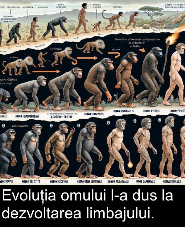 dezvoltarea: Evoluția omului l-a dus la dezvoltarea limbajului.