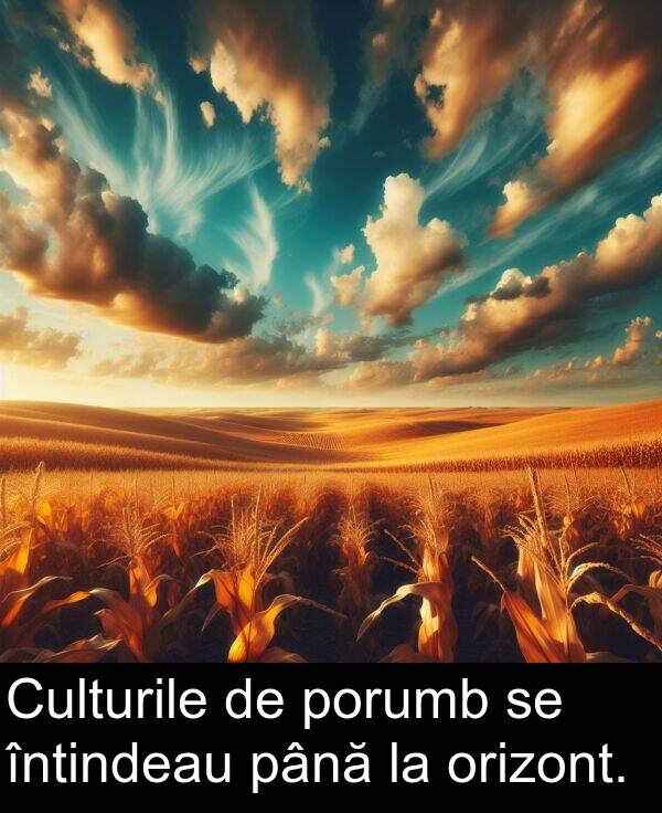 până: Culturile de porumb se întindeau până la orizont.