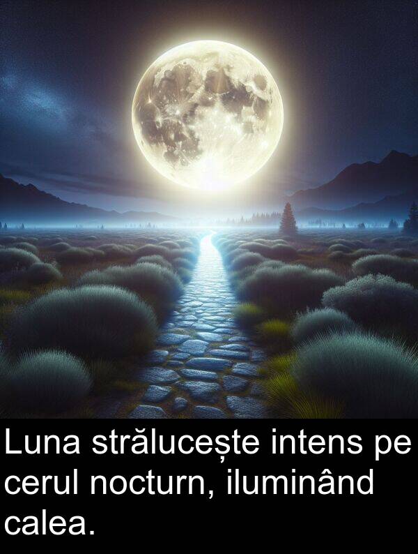 calea: Luna strălucește intens pe cerul nocturn, iluminând calea.