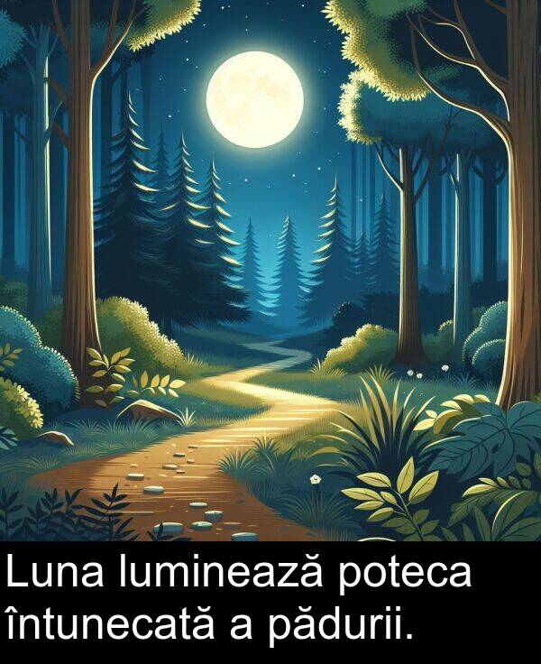 pădurii: Luna luminează poteca întunecată a pădurii.