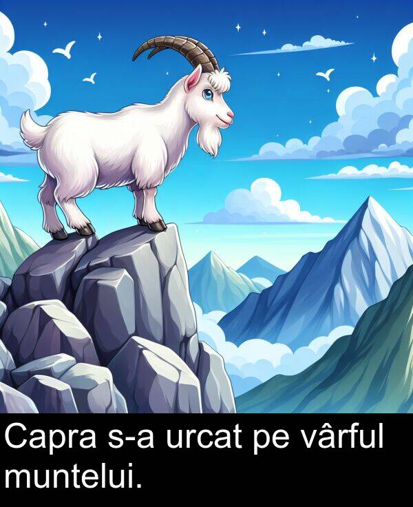 vârful: Capra s-a urcat pe vârful muntelui.