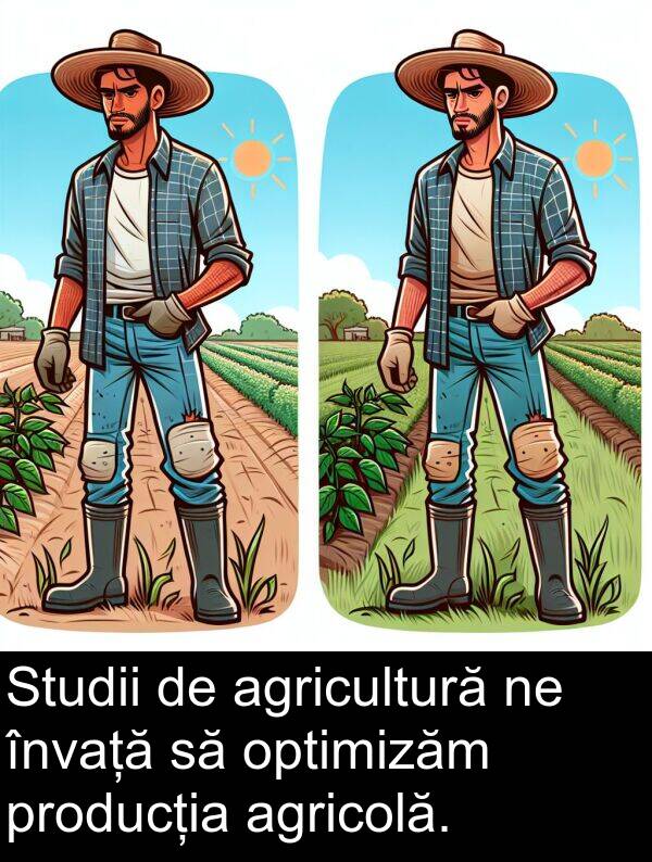 învață: Studii de agricultură ne învață să optimizăm producția agricolă.