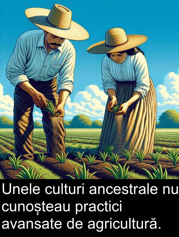 cunoșteau: Unele culturi ancestrale nu cunoșteau practici avansate de agricultură.