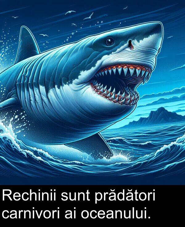 oceanului: Rechinii sunt prădători carnivori ai oceanului.