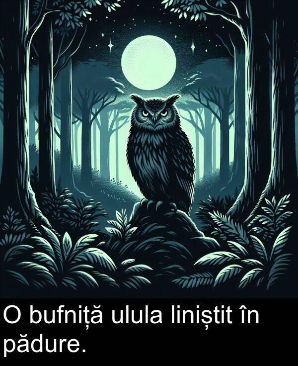 ulula: O bufniță ulula liniștit în pădure.