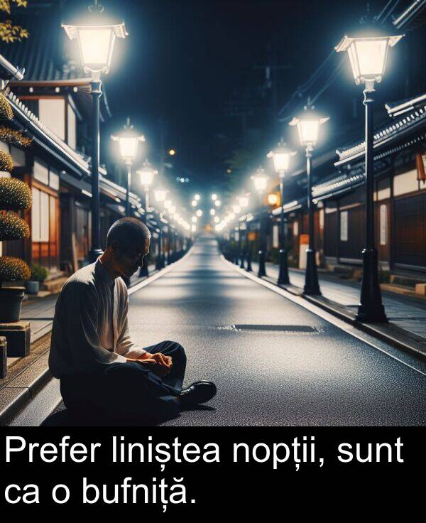 sunt: Prefer liniștea nopții, sunt ca o bufniță.