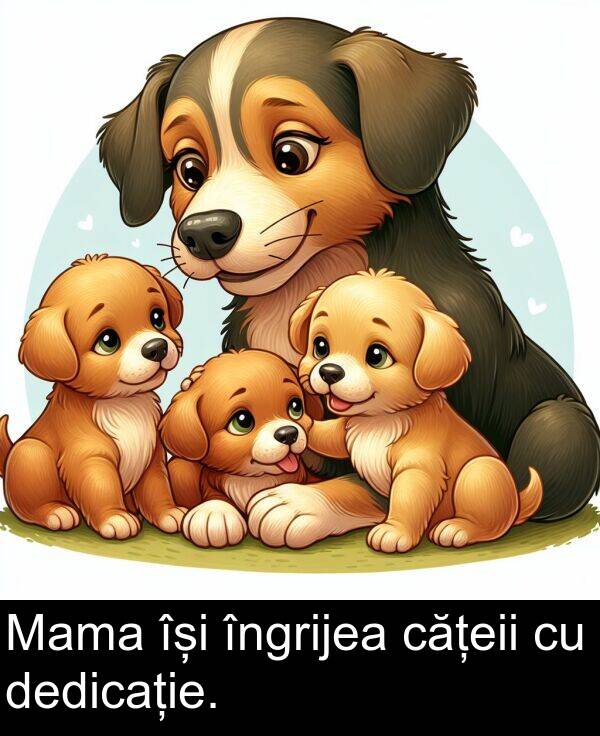 dedicație: Mama își îngrijea cățeii cu dedicație.