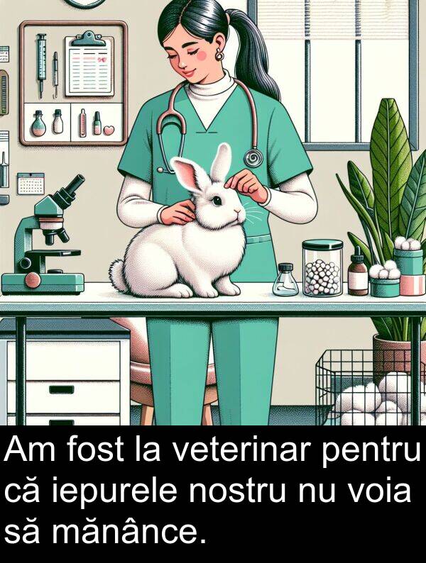 iepurele: Am fost la veterinar pentru că iepurele nostru nu voia să mănânce.