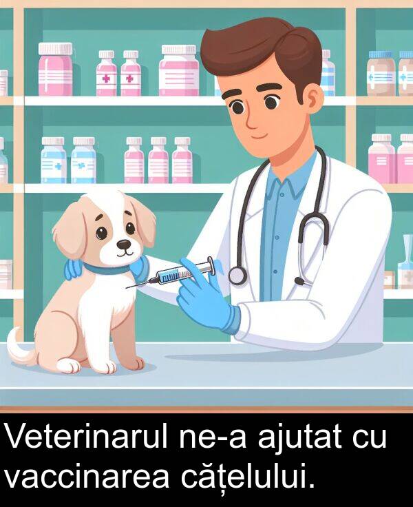 vaccinarea: Veterinarul ne-a ajutat cu vaccinarea cățelului.