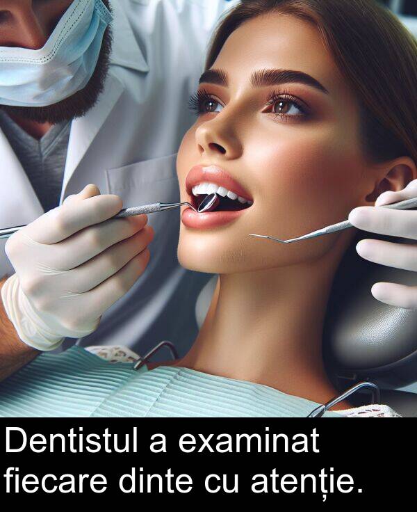 dinte: Dentistul a examinat fiecare dinte cu atenție.