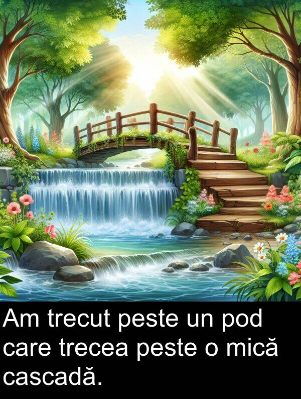 peste: Am trecut peste un pod care trecea peste o mică cascadă.