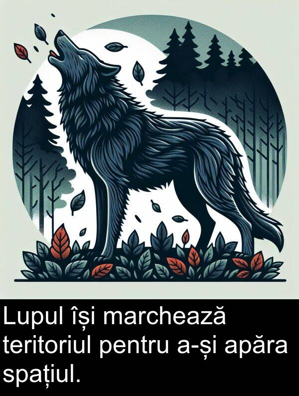 spațiul: Lupul își marchează teritoriul pentru a-și apăra spațiul.