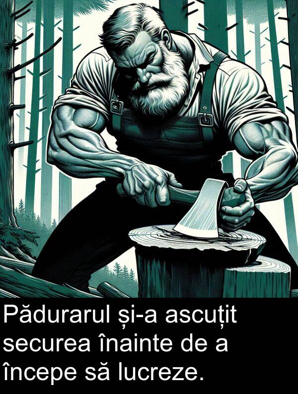 înainte: Pădurarul și-a ascuțit securea înainte de a începe să lucreze.