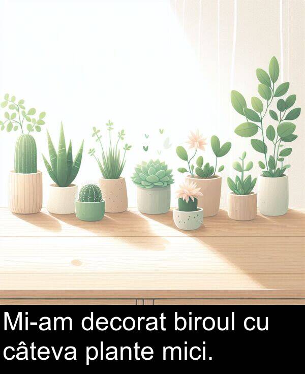 decorat: Mi-am decorat biroul cu câteva plante mici.