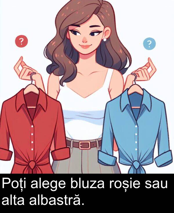 sau: Poți alege bluza roșie sau alta albastră.