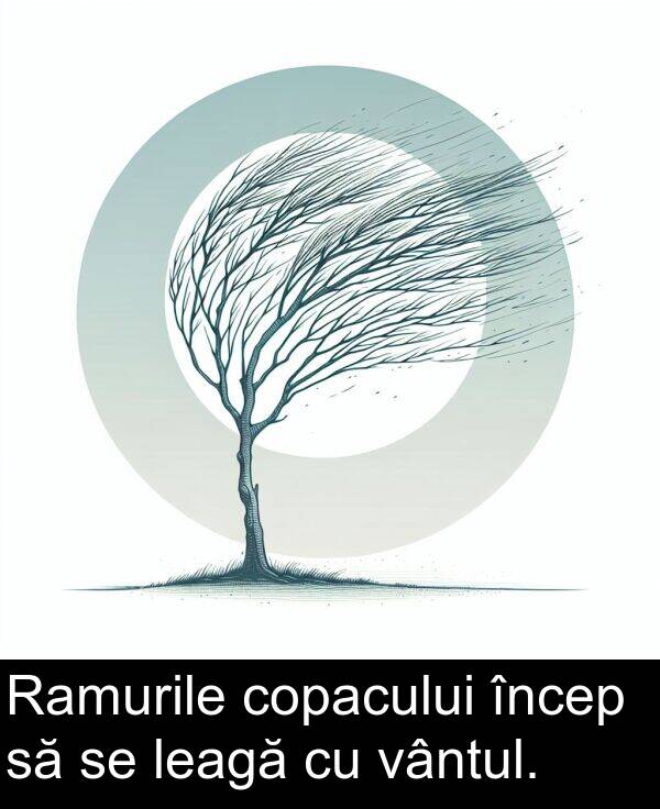 leagă: Ramurile copacului încep să se leagă cu vântul.