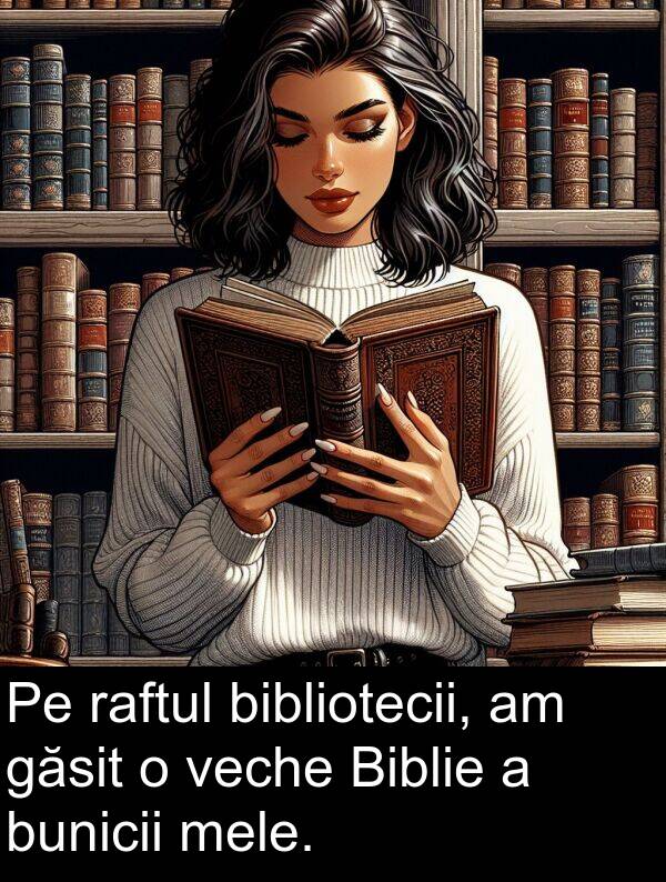 raftul: Pe raftul bibliotecii, am găsit o veche Biblie a bunicii mele.