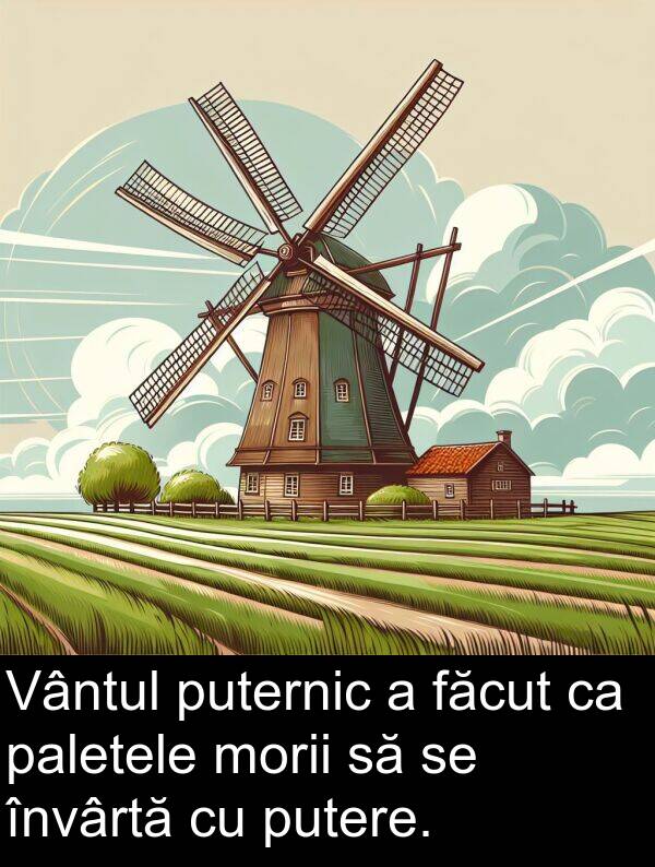 paletele: Vântul puternic a făcut ca paletele morii să se învârtă cu putere.