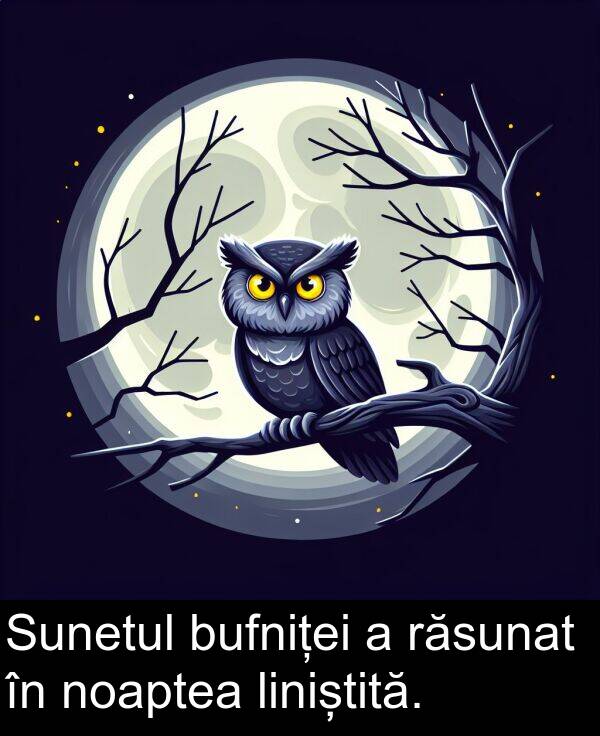 bufniței: Sunetul bufniței a răsunat în noaptea liniștită.