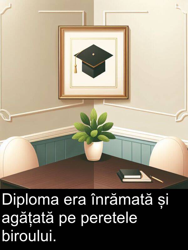 biroului: Diploma era înrămată și agățată pe peretele biroului.