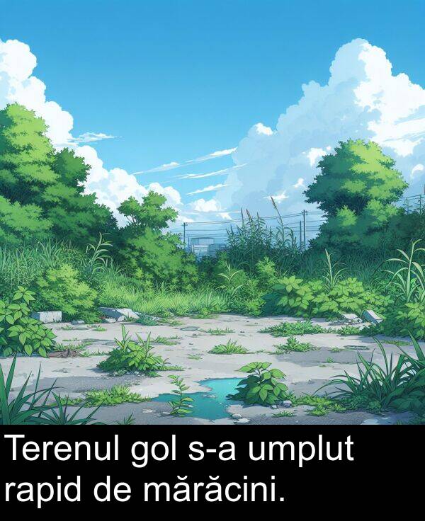 umplut: Terenul gol s-a umplut rapid de mărăcini.