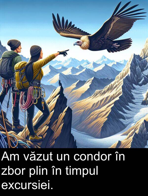 văzut: Am văzut un condor în zbor plin în timpul excursiei.