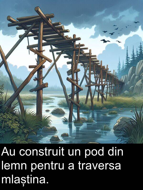 construit: Au construit un pod din lemn pentru a traversa mlaștina.