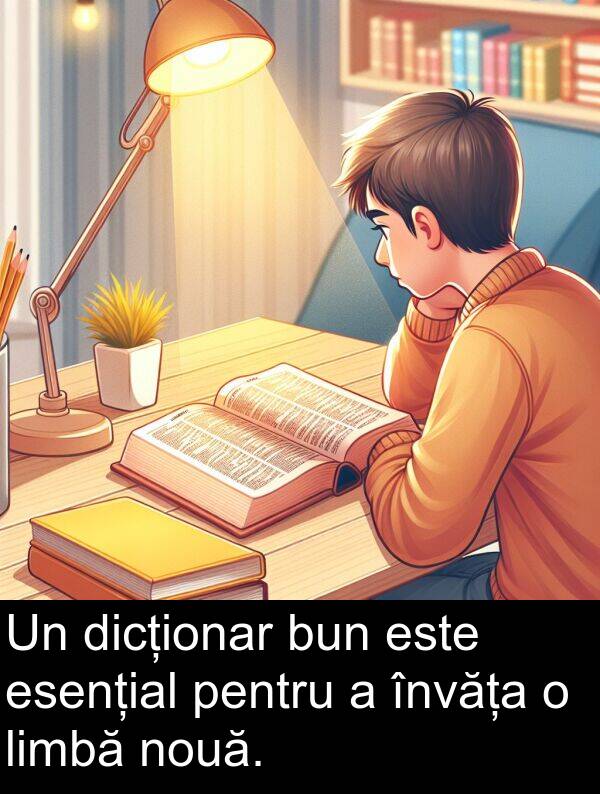 dicționar: Un dicționar bun este esențial pentru a învăța o limbă nouă.