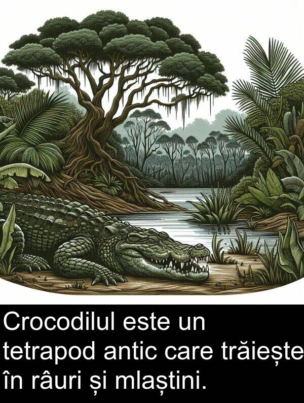 râuri: Crocodilul este un tetrapod antic care trăiește în râuri și mlaștini.