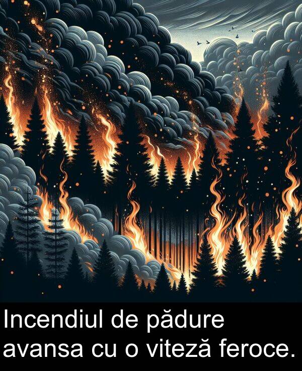 pădure: Incendiul de pădure avansa cu o viteză feroce.