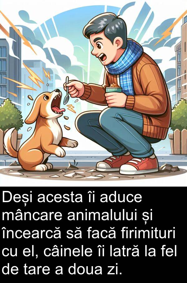 facă: Deși acesta îi aduce mâncare animalului și încearcă să facă firimituri cu el, câinele îi latră la fel de tare a doua zi.