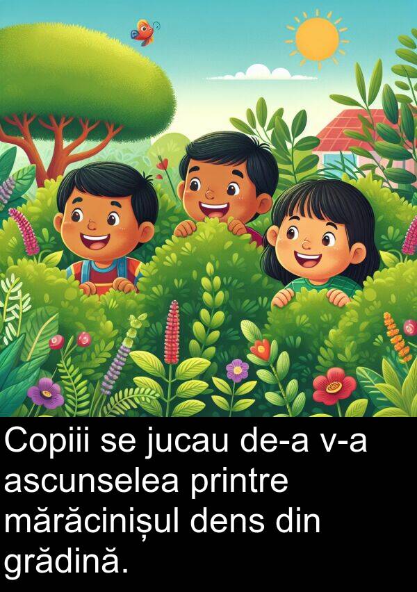 jucau: Copiii se jucau de-a v-a ascunselea printre mărăcinișul dens din grădină.