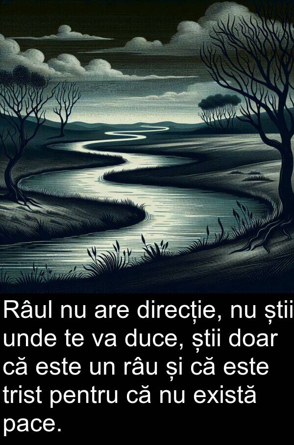 știi: Râul nu are direcție, nu știi unde te va duce, știi doar că este un râu și că este trist pentru că nu există pace.