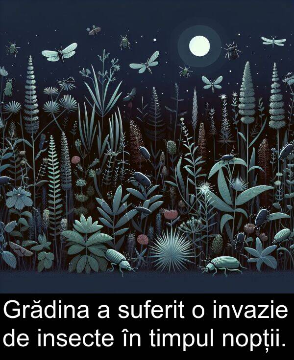 invazie: Grădina a suferit o invazie de insecte în timpul nopții.