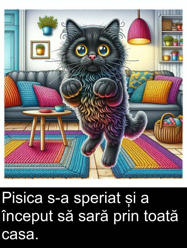 sară: Pisica s-a speriat și a început să sară prin toată casa.