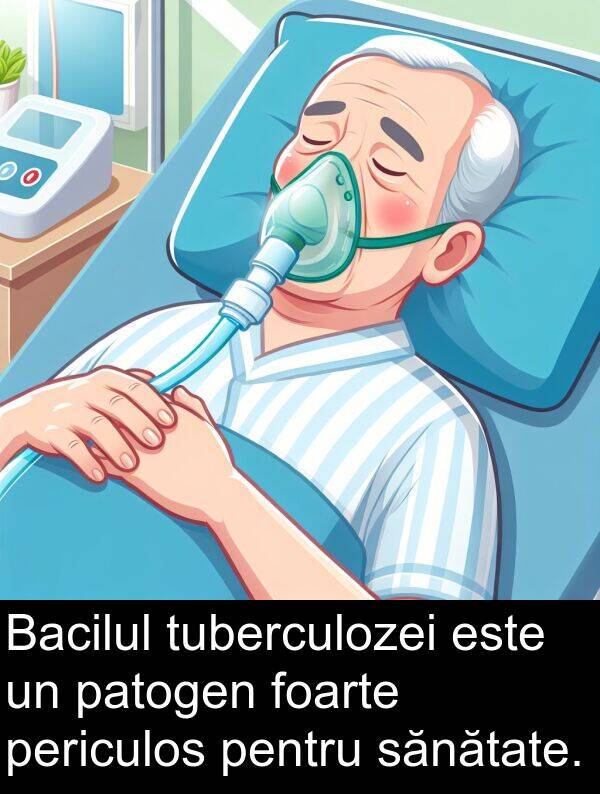 sănătate: Bacilul tuberculozei este un patogen foarte periculos pentru sănătate.